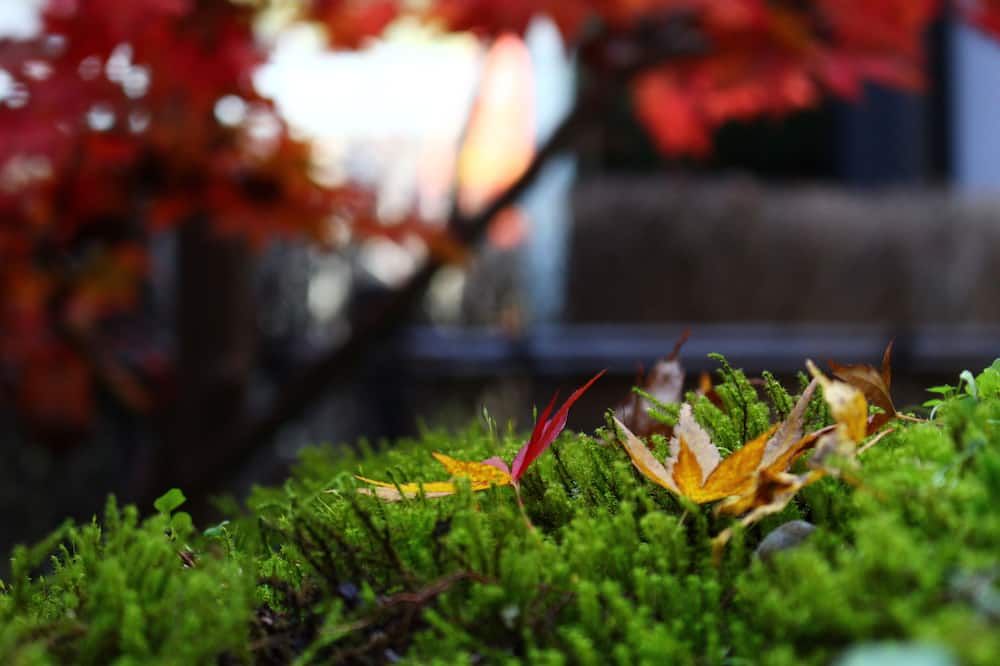 Outdoors view