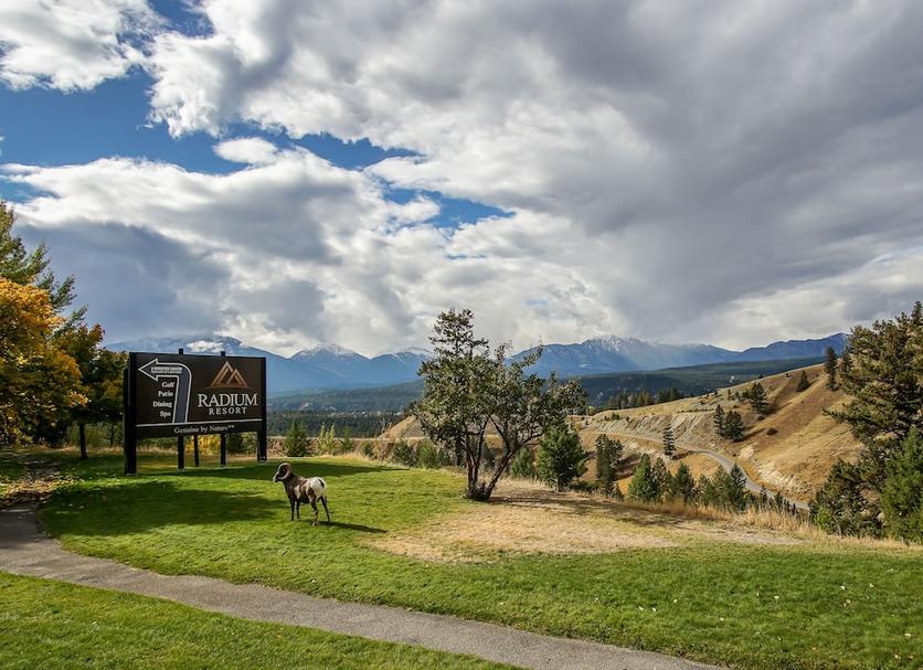 Outdoors view Photo