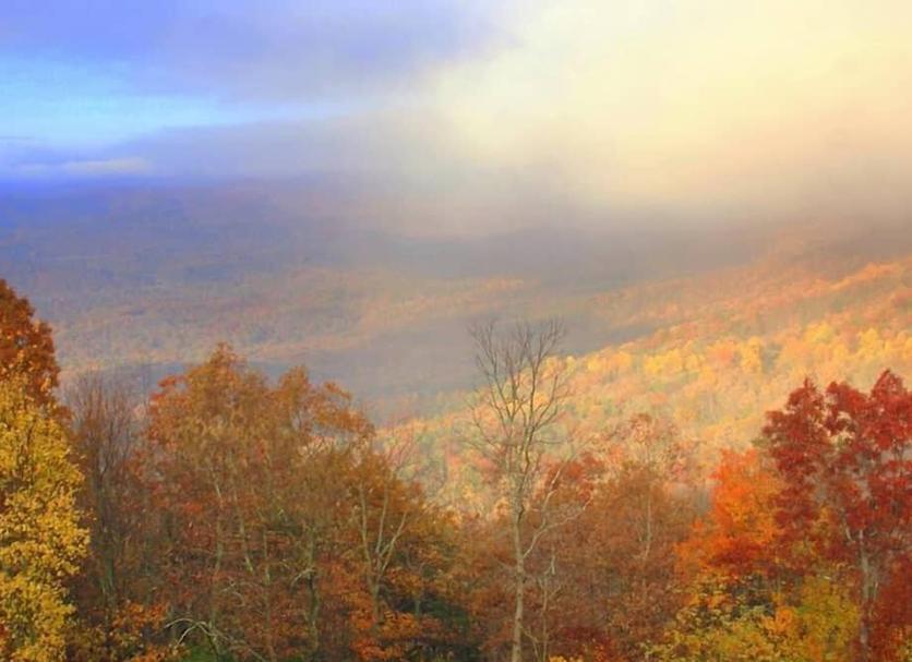 Outdoors view Photo
