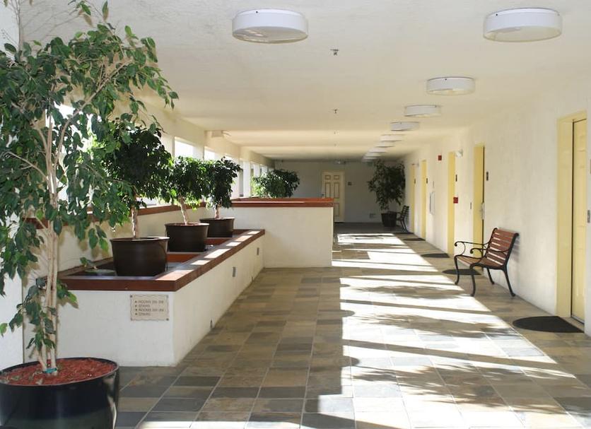 Decor Photo