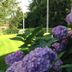 Outdoors view