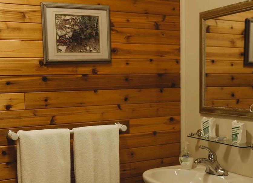 Room amenity Photo