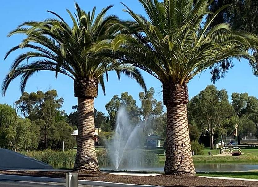 Outdoors view Photo