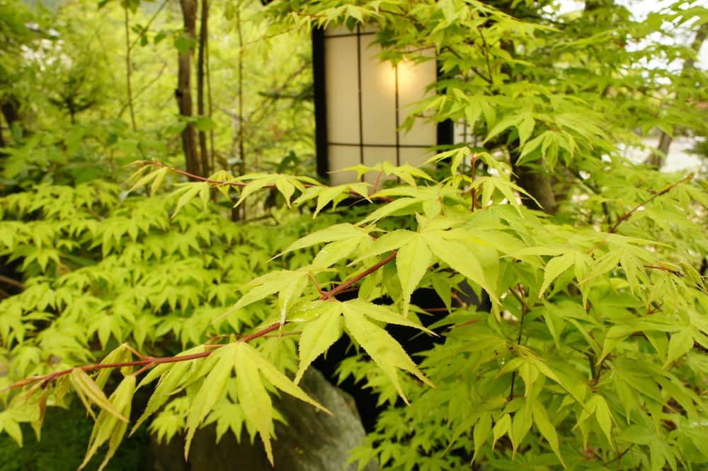 Outdoors view