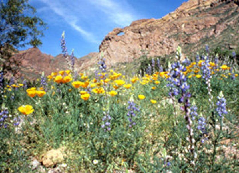 Outdoors view Photo