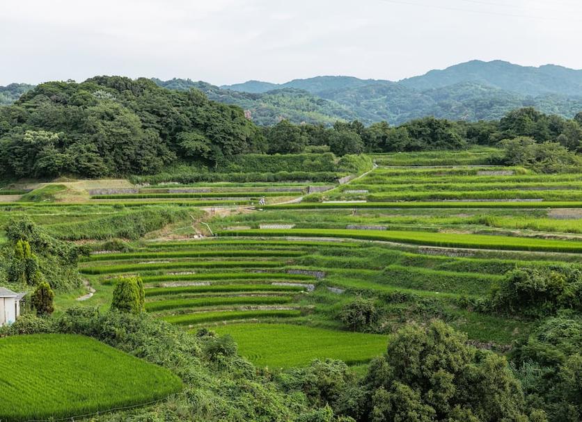 Outdoors view Photo