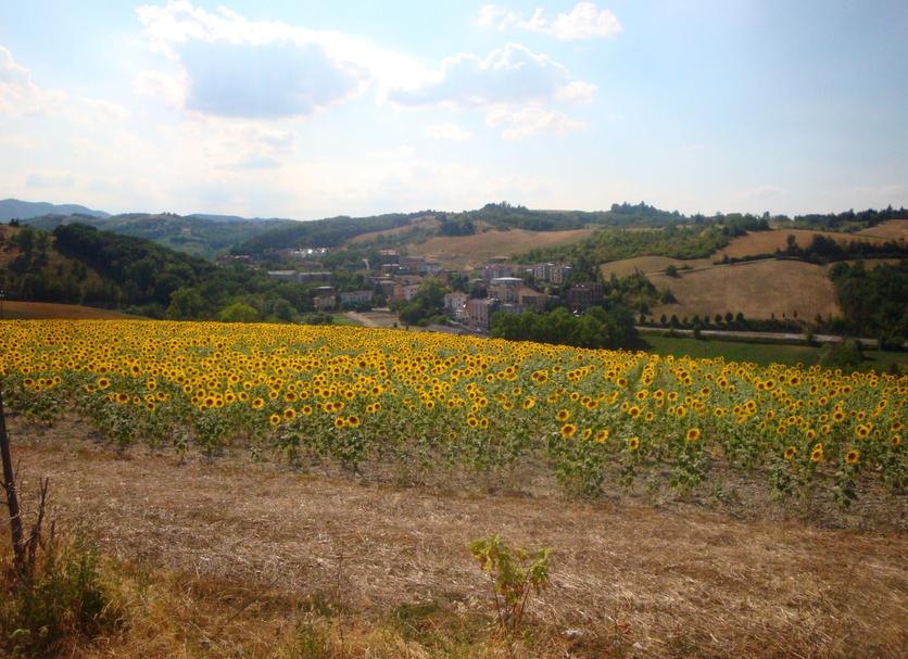 Outdoors view Photo