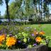 Outdoors view