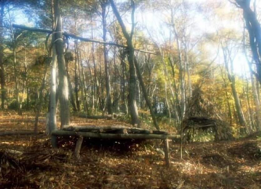 Outdoors view Photo
