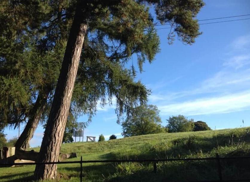 Outdoors view Photo