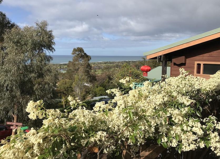 Outdoors view Photo