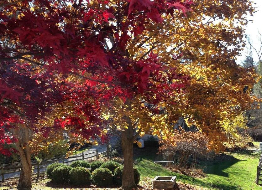 Outdoors view Photo