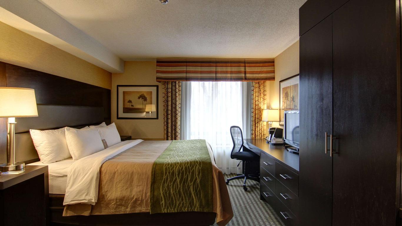 Comfort Inn Chatham