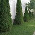 Outdoors view