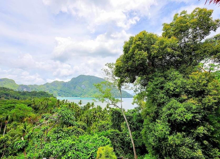 Outdoors view Photo