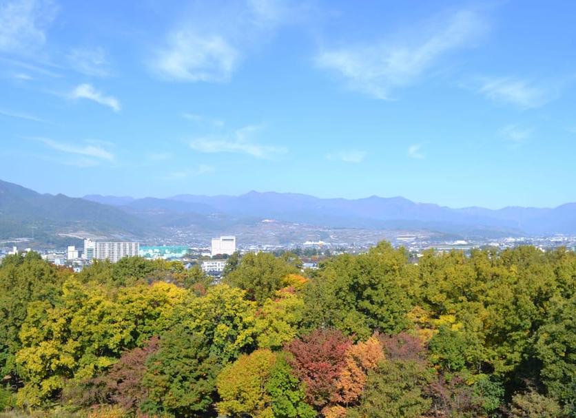Outdoors view Photo