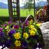 Outdoors view