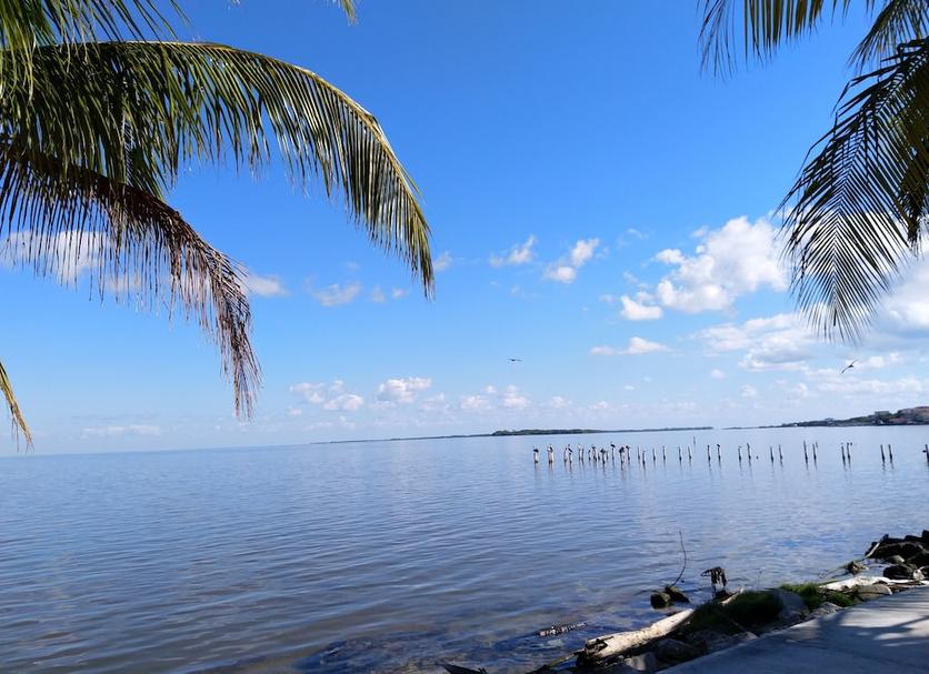 Outdoors view Photo