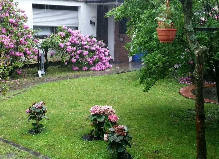 Outdoors view Photo
