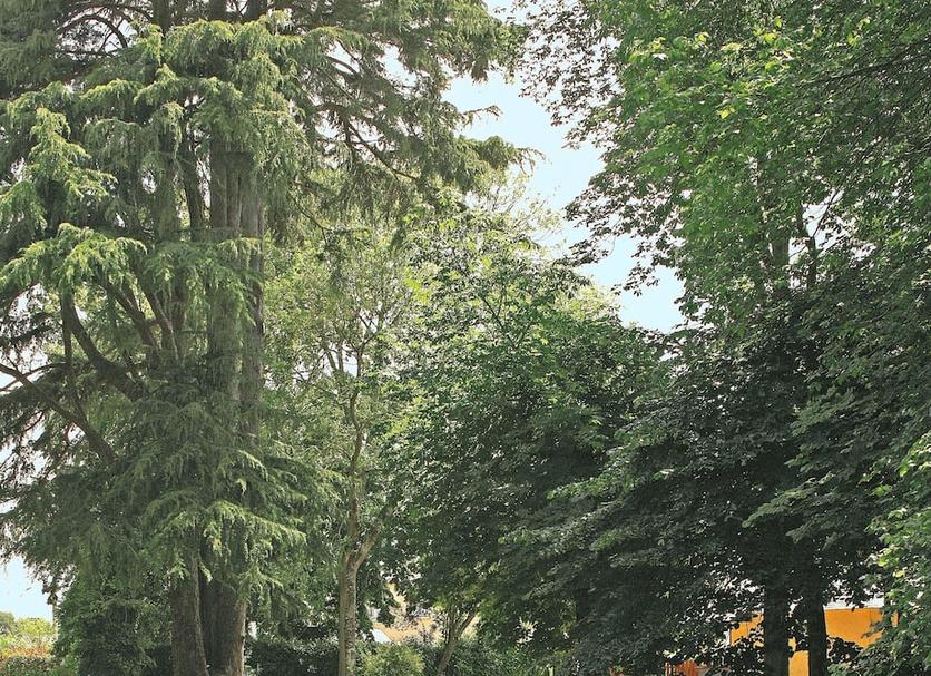 Outdoors view Photo
