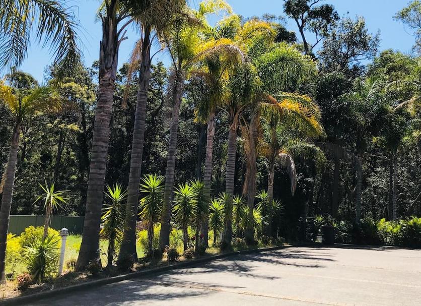Outdoors view Photo