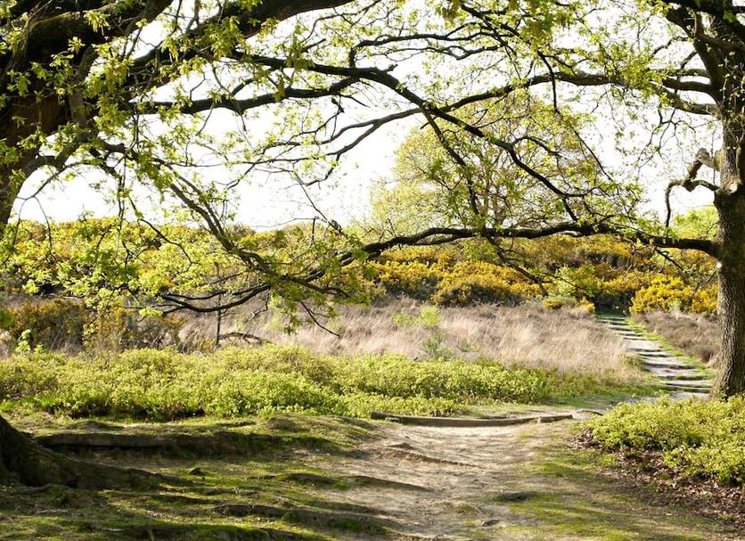 Outdoors view Photo