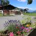 Outdoors view