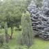 Outdoors view