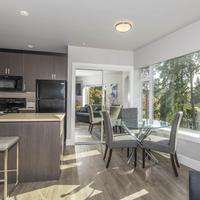 Solo Suites