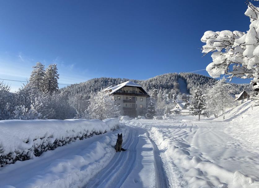Outdoors view Photo