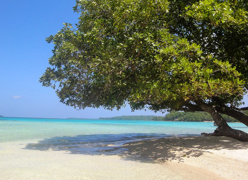 Beach Photo