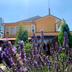 Outdoors view