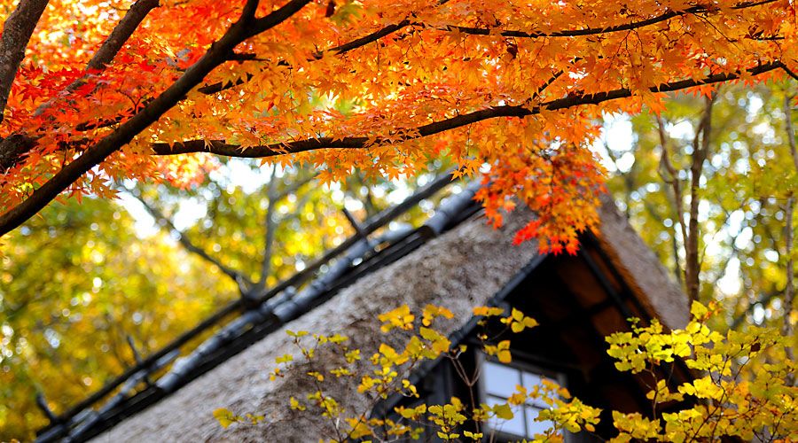 Outdoors view
