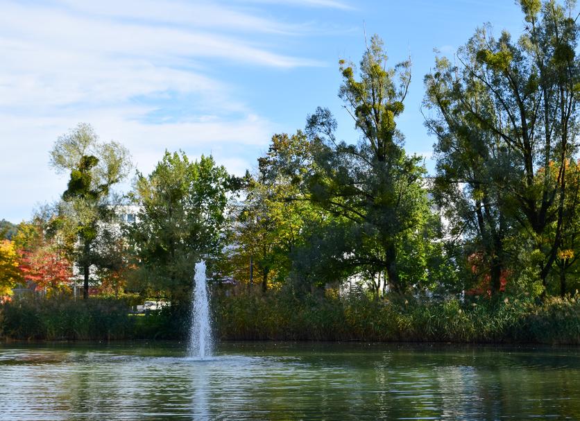 Outdoors view Photo