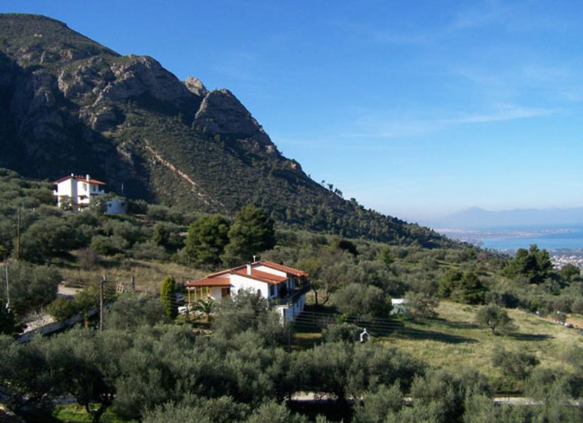Outdoors view Photo